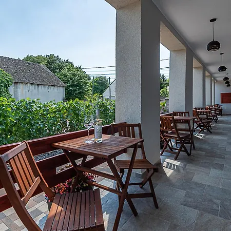 Adamko Borkert Haz Bed and Breakfast Villány