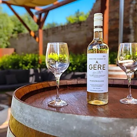 Adamko Borkert Haz 住宿加早餐酒店 维拉尼